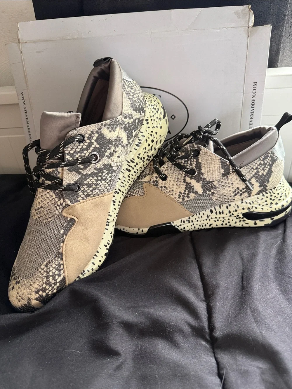 Steve Madden Sneakers